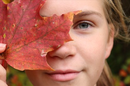 Portrait of a person partially framed by a red autumn leaf.